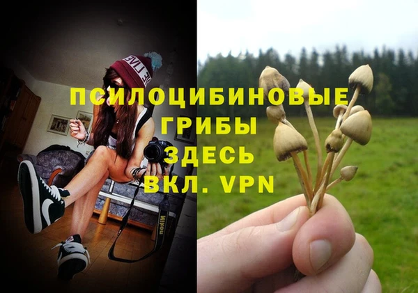 трава Новокубанск