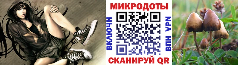 Галлюциногенные грибы мухоморы Купить где Заинск